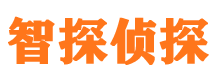 兴化市侦探公司